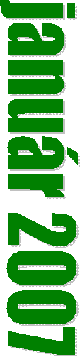 janur 2007